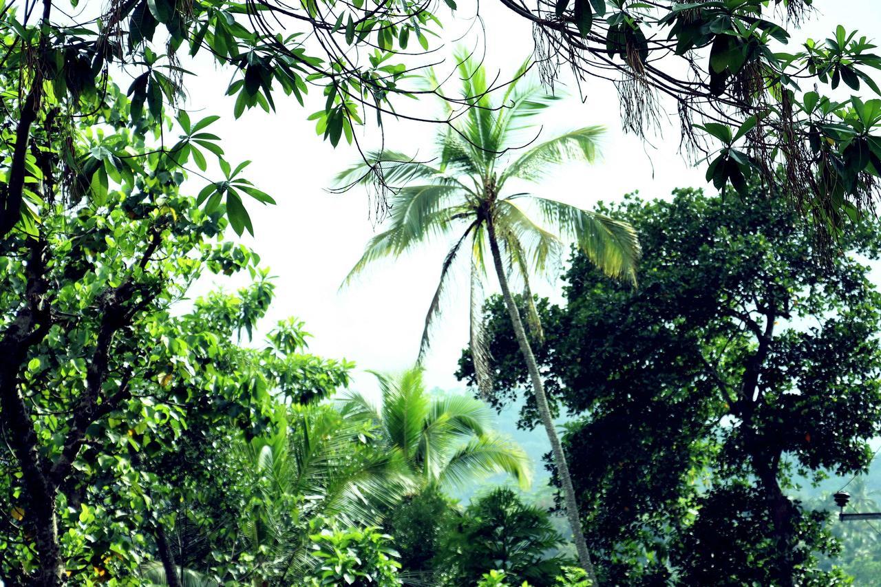 Villa Royce Kandy Buitenkant foto