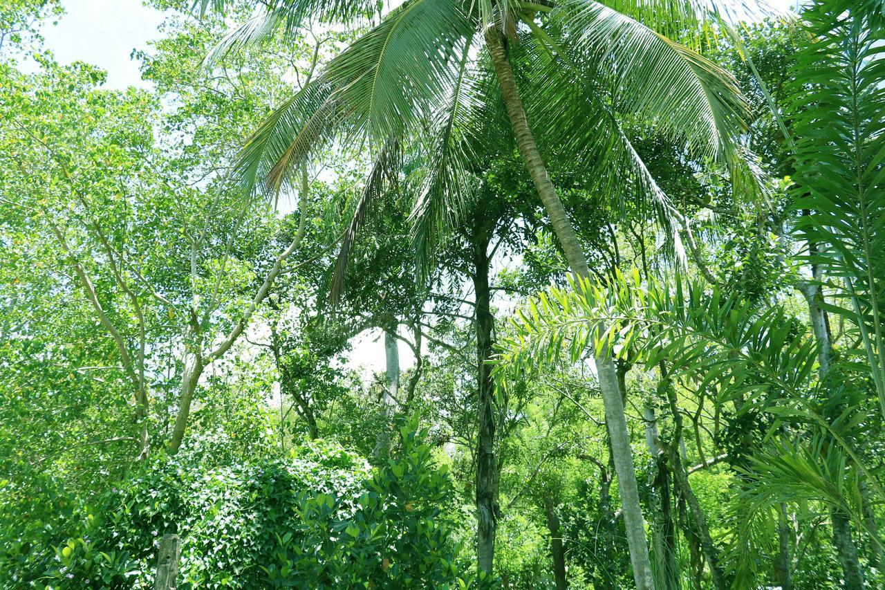 Villa Royce Kandy Buitenkant foto